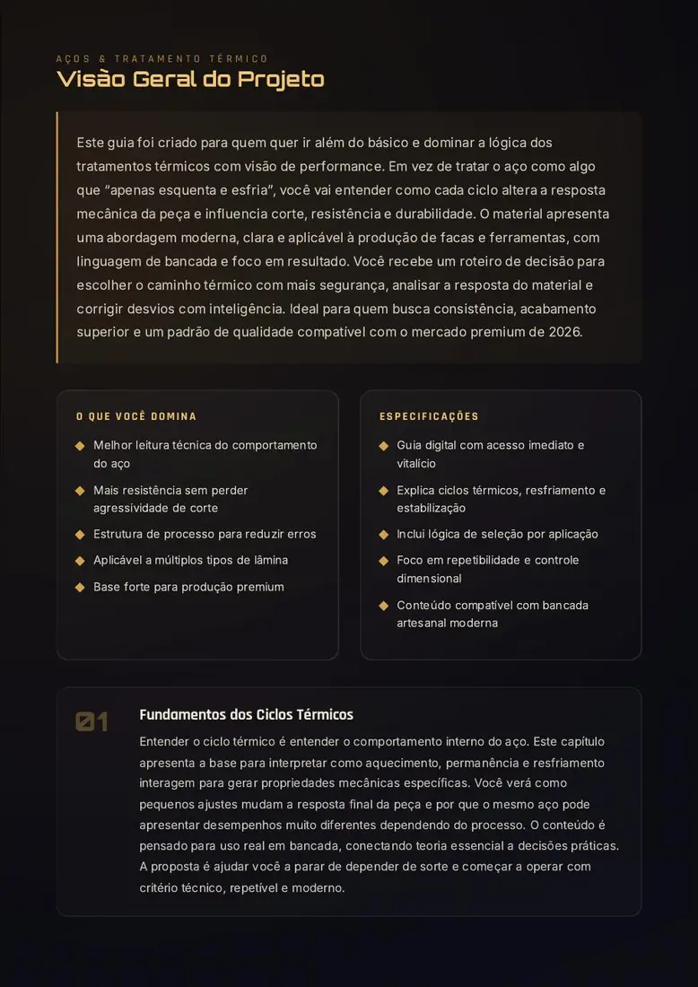Duplo Ciclo: Tratamentos Térmicos para Aços de Performance — prévia 3