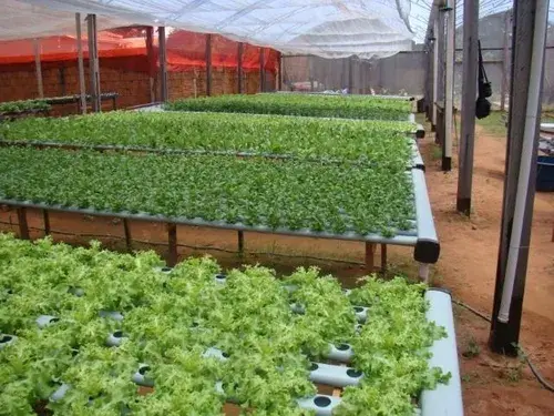 Horta Orbit 360 — Projeto Digital de Horta Orgânica e Hidropônica — prévia 2