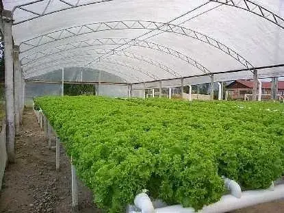 Horta Orbit 360 — Projeto Digital de Horta Orgânica e Hidropônica — prévia 4